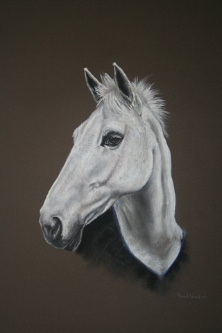 Grey Mare